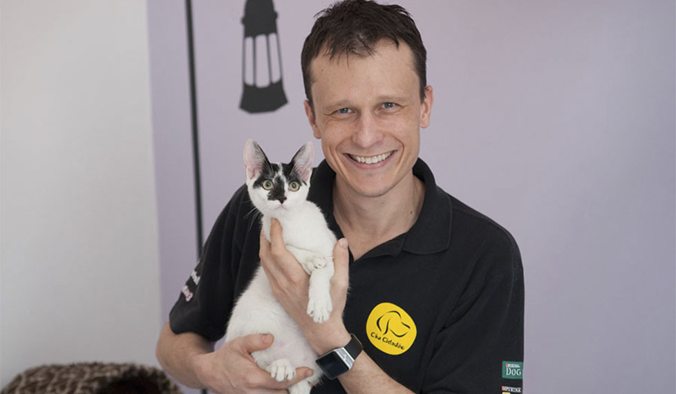 Cómo cuidar a los gatos, con Alexandre Rossi